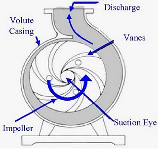 Circulating Pumps for Hot Water Systems | Domestic and Commercial